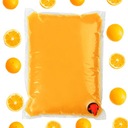 Pomarančový džús 100% prírodný NFC BEZ CUKRU 5L