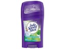 LADY SPEED STICK tyčinkový dezodorant Orchard Blossom 40 g