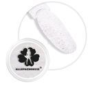 Sequin Quartz Effect Sea Shell 07 púder na nechty 1g