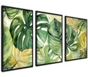 Plagáty Obraz Monstera Leaves Zelená príroda 40x50