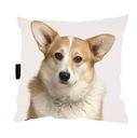 VANKÚŠ s Psíkom CORGIM 40x40 na spanie DARČEK