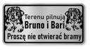 Označte pozornosť psov - Bernské salašnícke psy