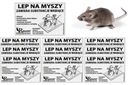 Lepiaca pasca na potkany a myši atraktant 10 ks SILNÝ LEPICÍ BUZZTRAP