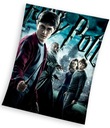 Deka Harry Potter 130/170 fleecová deka