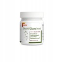 Dolfos Dolvit Gland 60 Tab mini - perianálne žľazy