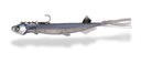 PELAGIC SHAD SET CHLUPATÁ GUMA PRE VERTIKÁLNY RYBOLOV