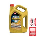 TEXACO Havoline Pro DS M C2 C3 5W-30 4L