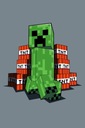 MINECRAFT DEKA 100x150 CREEPER TNT FLEECE STEVE