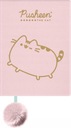 Ružový semišový zápisník DIARY mačka PUSHEEN A5 do školy, mäkká kožušinka