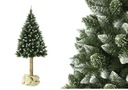 Vianočný stromček Diamond Pine 220cm na kmeni Pr