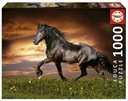 Educa Puzzle 1000 Klusací kôň