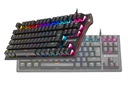 HERNÁ KLÁVESNICA, MECHANICKÁ, RGB LED PODSVETNUTIE Gamezone Stinger 87