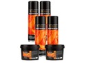 ČISTIČ BRZDOVÝCH DISKOV 4X500ml TEGER PASTA ZADARMO