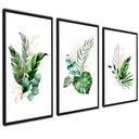 Plagáty Obrazy Botanika Rastliny + RÁM 40x50cm