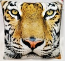 Dekoračná obliečka na vankúš 40x40 TIGER