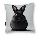 VANKÚŠ ZAJÍČKA čierny ZAJÍK zajačik 40x40 perfektný DARČEK na spanie