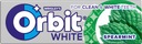 ORBIT RUBBER DRAYES WHITE SPERARMINT 30 ks