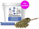 GASTROHEAL DROMAS NA VREDY PRE KONE 6 KG NOVINKA!