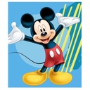 Mickey Mouse fleecová deka do škôlky, 120x140