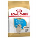 Royal Canin Breed Zlatý retriever junior 12kg