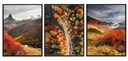 OBRAZOVÝ PLAGÁT V RÁME 53x73cm Triptych jeseň P1893