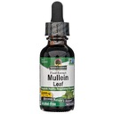 Nature's Answer Mullein Leaf Alcohol Free 30 ml
