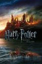 Plagát Harry Potter Horiaci Rokfort 61x91,5 cm