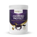 HorseLinePRO Chondro Protect