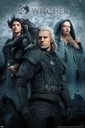 Plagát THE WITCHER - THE WITCHER 61x91cm