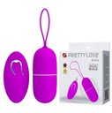 Arvin Super Wireless Egg