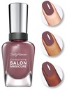 Lak na nechty Sally Hansen Salon Complete Plums The World 360