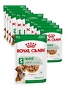 Royal Canin Mini Adult 12X 85g Mokré krmivo pre psov malých plemien vo vrecúškach