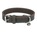 TRIXIE Rustikálny obojok pre psa hrubý kožený sivý M–L: 42–48 cm/25 mm