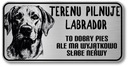 Značka Pozor pes 20x10 Labrador