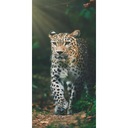 UTERÁK 70X140 100% BAVLNA JAGUAR JUNGLE