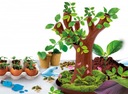 Malý génius - Učenie botaniky doma