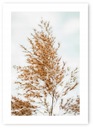 Boho grass béžový plagát A1 59,4x84,1 cm #20B