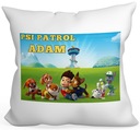 VANKÚŠ PAW PATROL PRE DIEŤA 40x40+AKÉKOĽVEK MENO