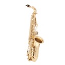 EASTMAN EAS 500 ALTO SAX