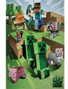 Detská fleecová deka 100x150 Minecraft