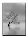 OBRAZOVÝ PLAGÁT V RÁME 53x73 cm Stromček P638