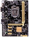 ASUS H81M-PLUS p.1150 DDR3 mATX