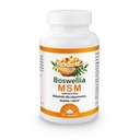Boswellia MSM - Pre kĺby a črevá - DR. JAKOBOV