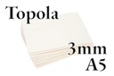 10x Poplar Preglejka - Poplar - 3 mm - A5 210x148mm - iba drevo