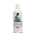 Temptation Essential Line hypoalergénny šampón 250 ml