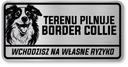 Pozor pes Border Collie sign