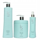 PROFIS Lady Spa ECTO FUSION Set na suché vlasy šampón s maskou v spreji