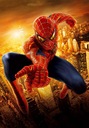 Plagát Obraz SPIDERMAN Spider-Man 70x50 cm #64