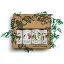 BELŻECKI OVOCNÝ OCOT SET 4X100ML