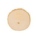 Kotúče z brezového dreva 10-12 cm, rezané, 8 ks.